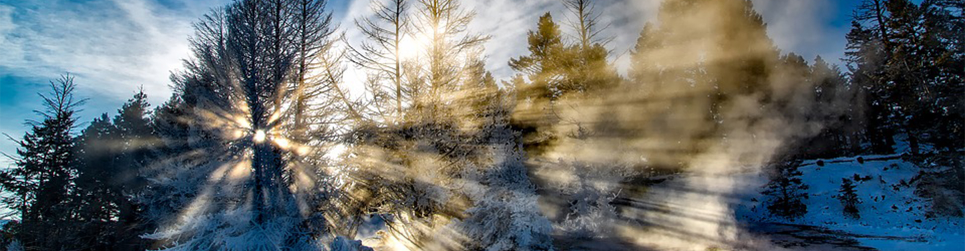 Sun rays in winter