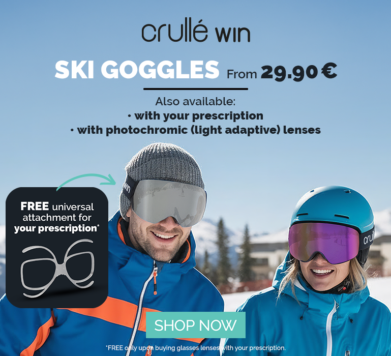 Ski goggles