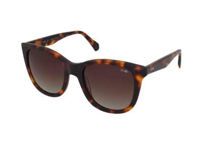 Sunglasses Crullé C5774 C2 