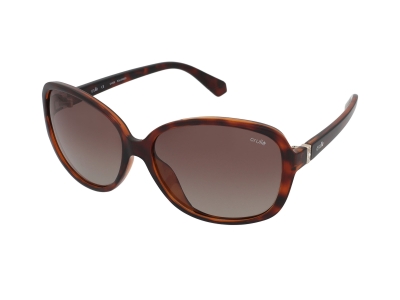 Sunglasses Crullé C5780 C1 
