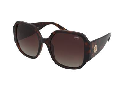 Sunglasses Crullé Convival C5799 C3 